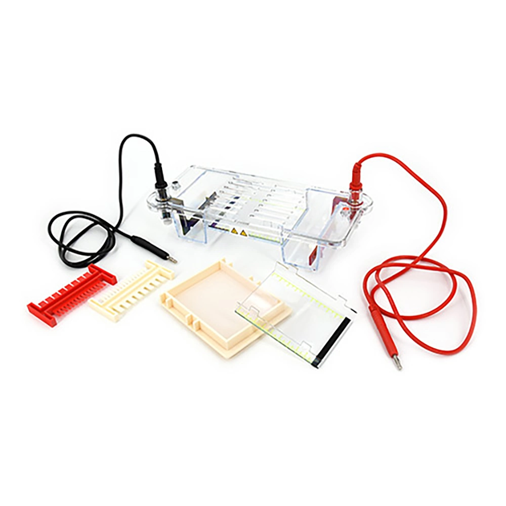 Modular Horizontal Electrophoresis Cell Dycp-31cn