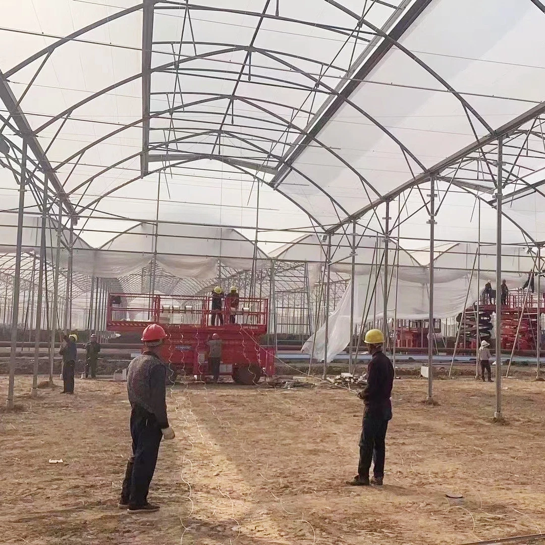 À grande échelle Polytunnel Isarel style maison de fleurs de serre de film pour la plantation de Rose coupées fraîches/fleurs/la culture hydroponique et de légumes