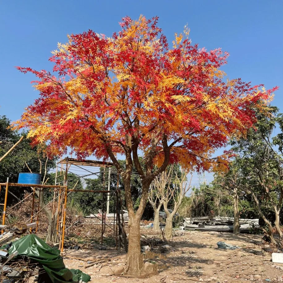 Automne Grand arbre d'érable rouge japonais artificiel extérieur