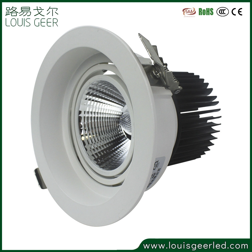 Hochwertige Indoor Energieeinsparung runde Decke 20W versenkte LED Downlight