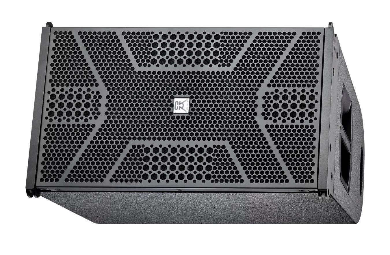 Two Way Line Array System Signal 12 Inch Woofer Two 2.5 Inch Tweeter First Component High End PA Speaker