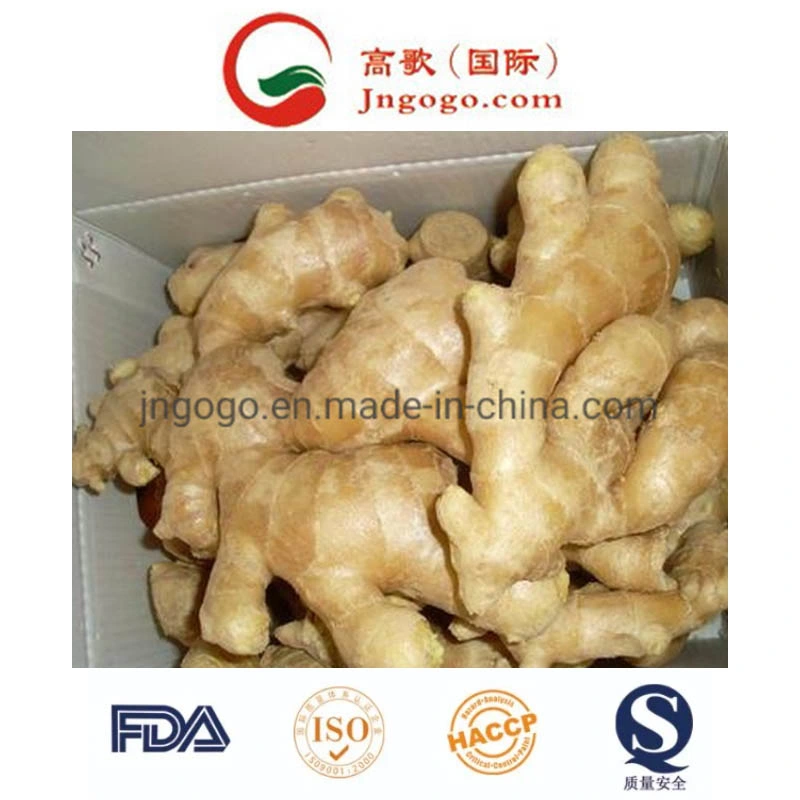 First Quality Air Dry Ginger (250g and up)