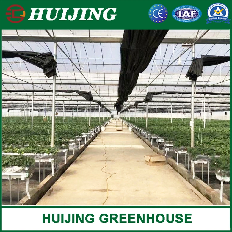 Agricultural Planting Poly Film Multi-Span Greenhouse for Sale