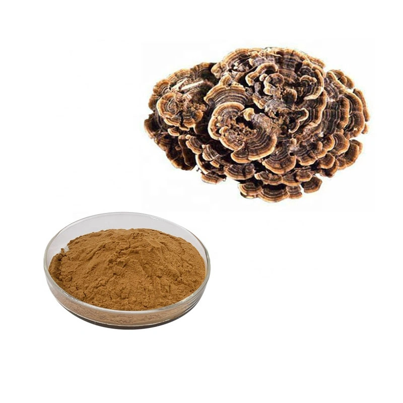 ماء Soluble تركيا الذيل Mushroses استخراج بوليساشاريدي بودر