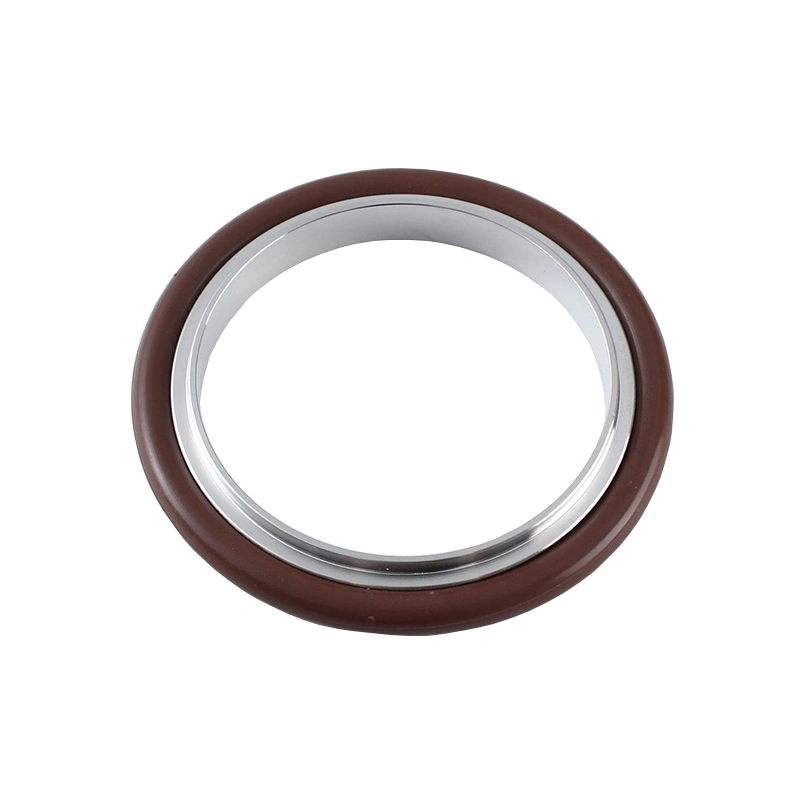 Nw Kf ISO Stainless Steel Center Ring Viton Seal for Vacuum Clamp