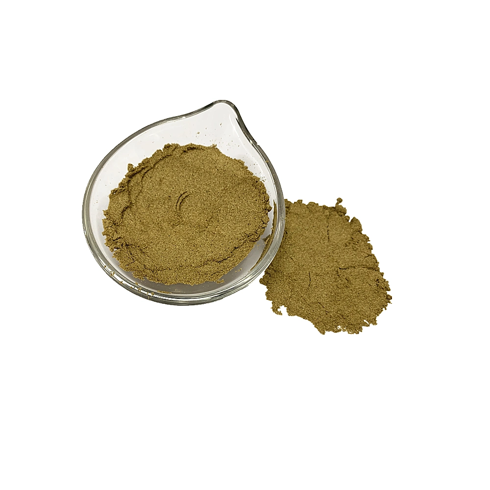 Black Cumin Extract Powder Cumin Seeds Powder