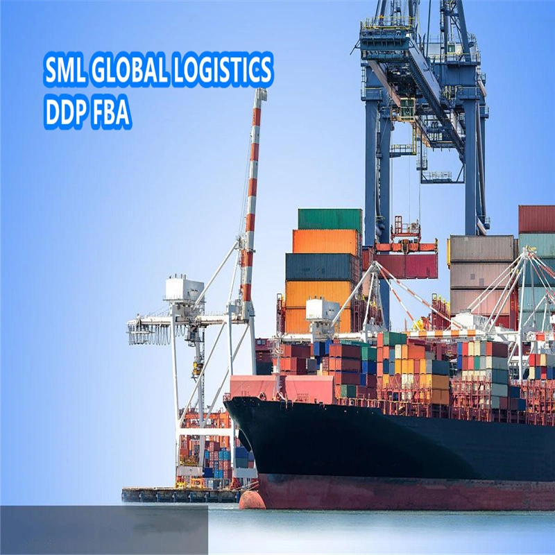 Agent d'exportation DDP Sea Shipping Air Cargo Freight Forwarder to Philippines Manille agents d'expédition Tarifs Logistique