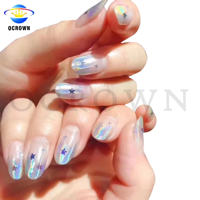 Holographic Effect Powder Spectraflair Holo Rainbow Pigment for Nail Paint