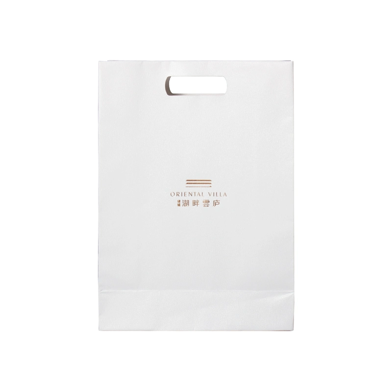 Custom Printed Luxury Leather Textured/Tote Gift/Brand Shopping Boutique Clothing Paper Bags with Your Own Logo