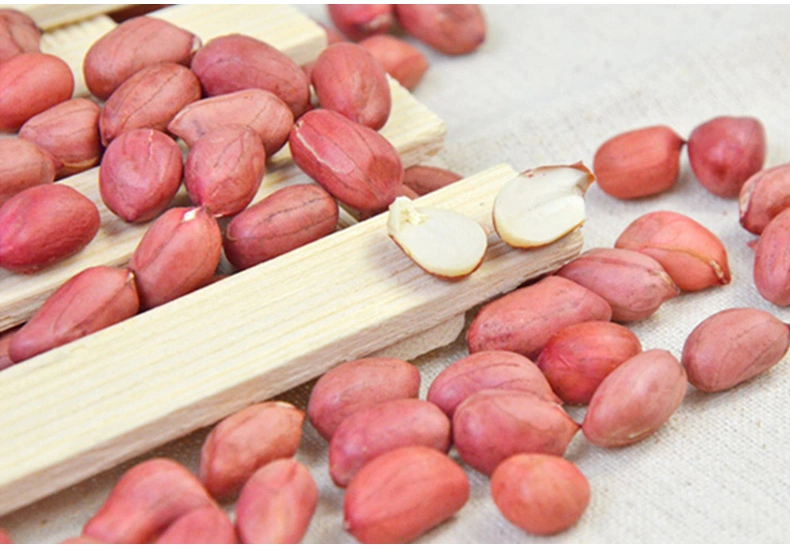 Suppliers and Exporters of Peanut