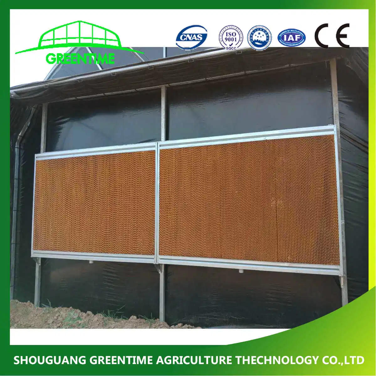 Blackout/Light Deprivation Single Span Tunnel Greenhouse Made in China
