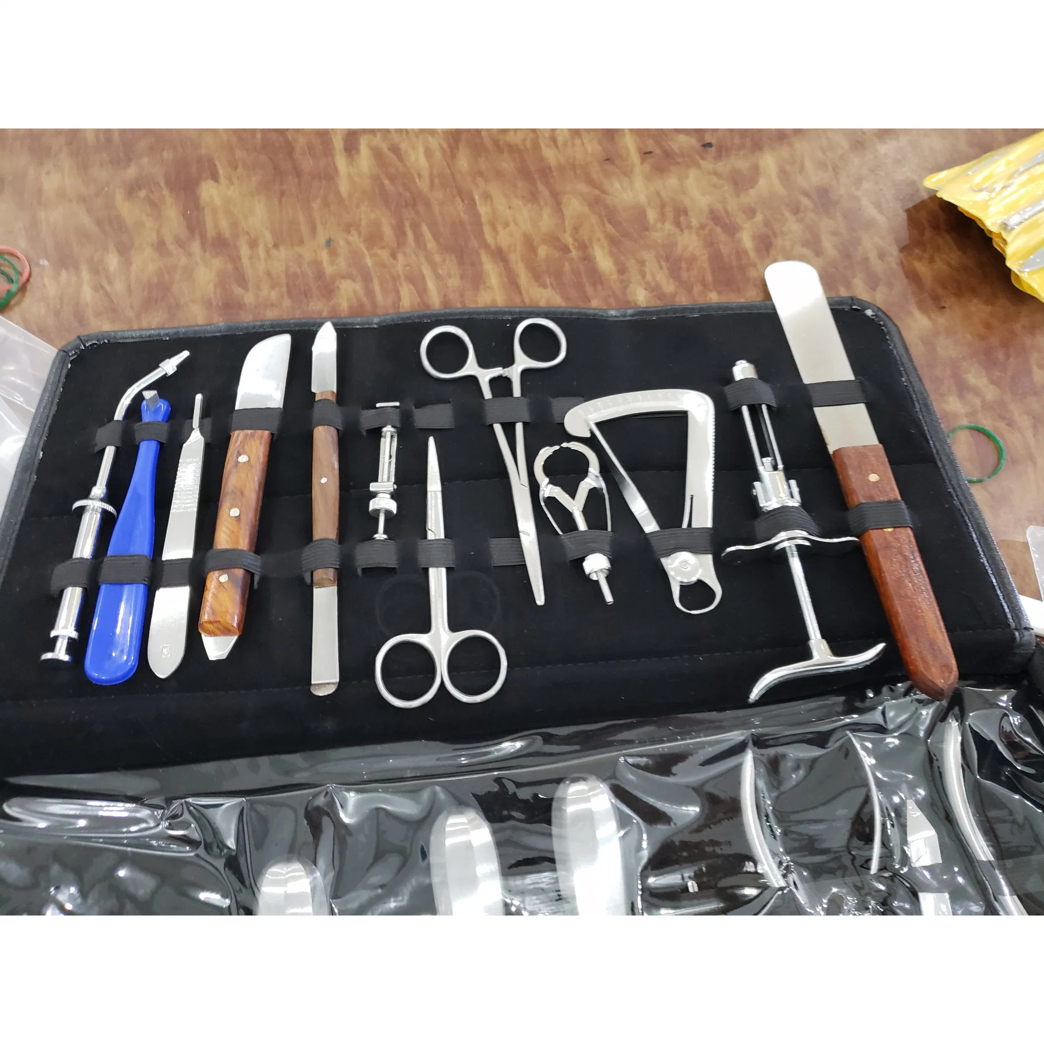 in-Di30 China Medical Stainless Steel Surgical Cleaning Full Set Dental Tool Instruments