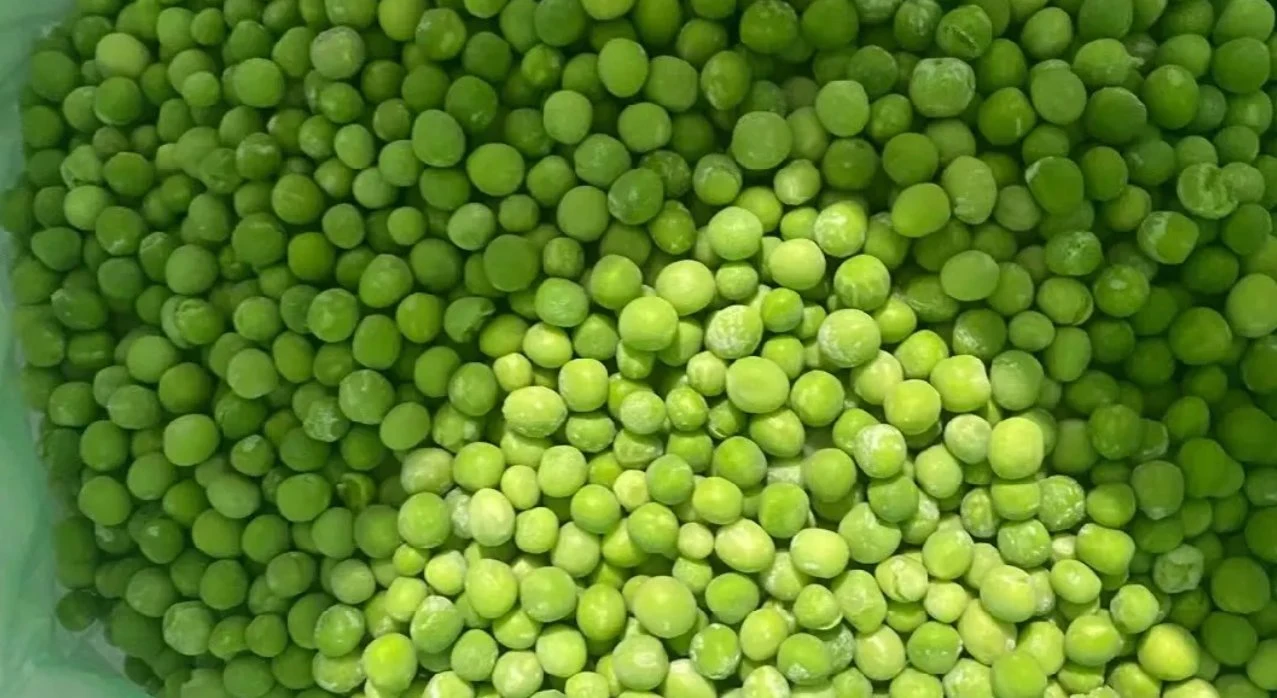 Frozen Green Peas, Fresh Frozen Vegetables From China