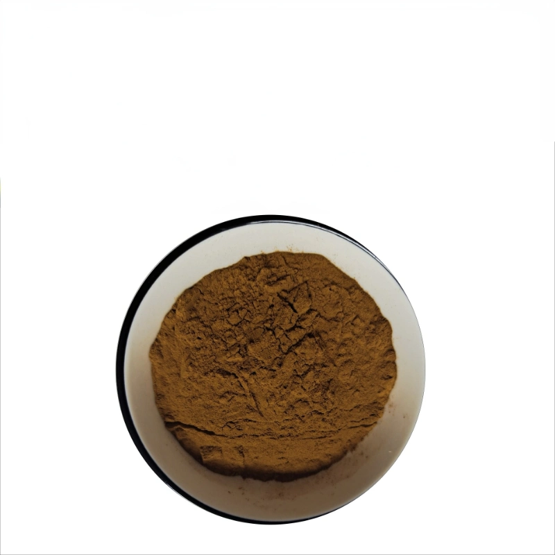 Polysaccharides10%-50%/Triterpene 1% Mushroom Extract Coriolus Versicolor Extract