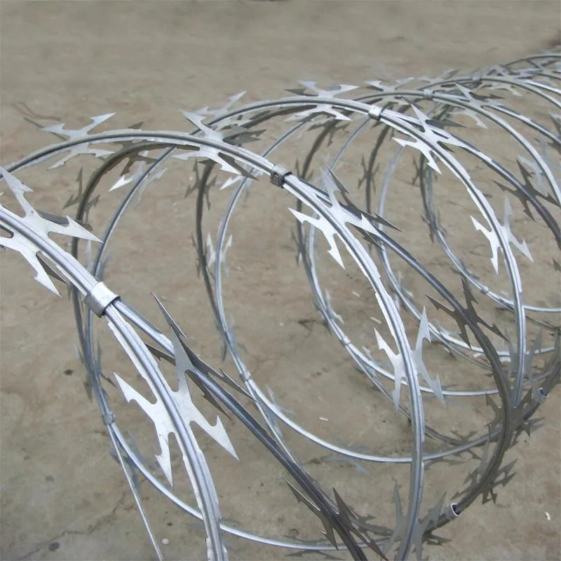 Stainless Steel Concertina Wire Border Barrier