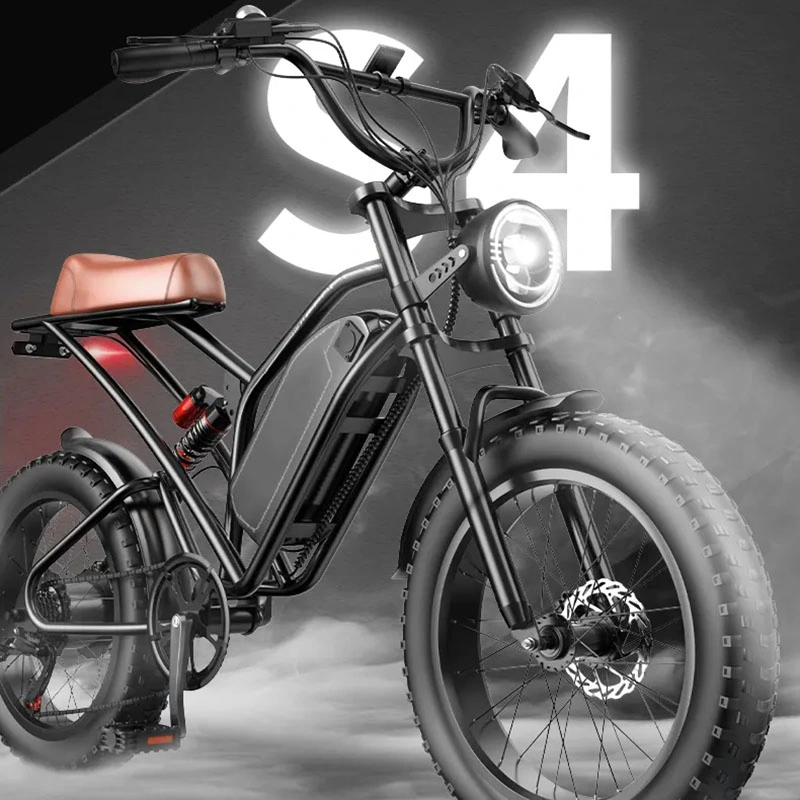 دورة السيارات الكهربائية القابلة للتخصيص في مصنع الصين، 73 دورة من الدهون في الإطار S4 20 Inch Adventure Series E-Bike Motorcycle Style دراجة كهربائية