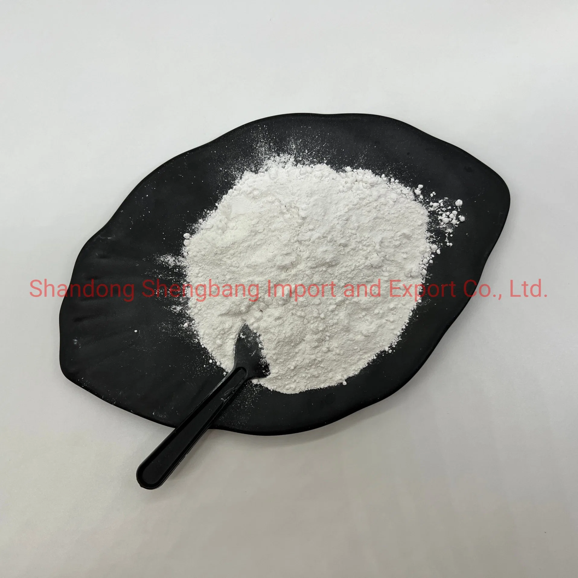 China Manufacturer Hot Sale Paints Use Titanium Dioxide CAS 13463-67-7