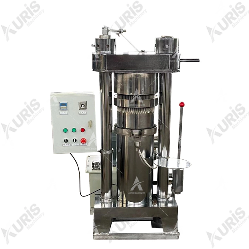 Automatic Hydraulic Sesame Walnut Nuts Almond Peanut Oil Press Pressing Equipment Extruding Extractor Extraction Making Machine