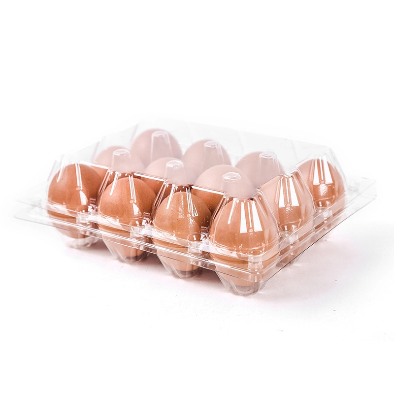 Plastic Transparent Egg Holder 8 10 12 Medium Disposable Earth Egg Packaging Box Gift Box Manufacturers Direct Sales