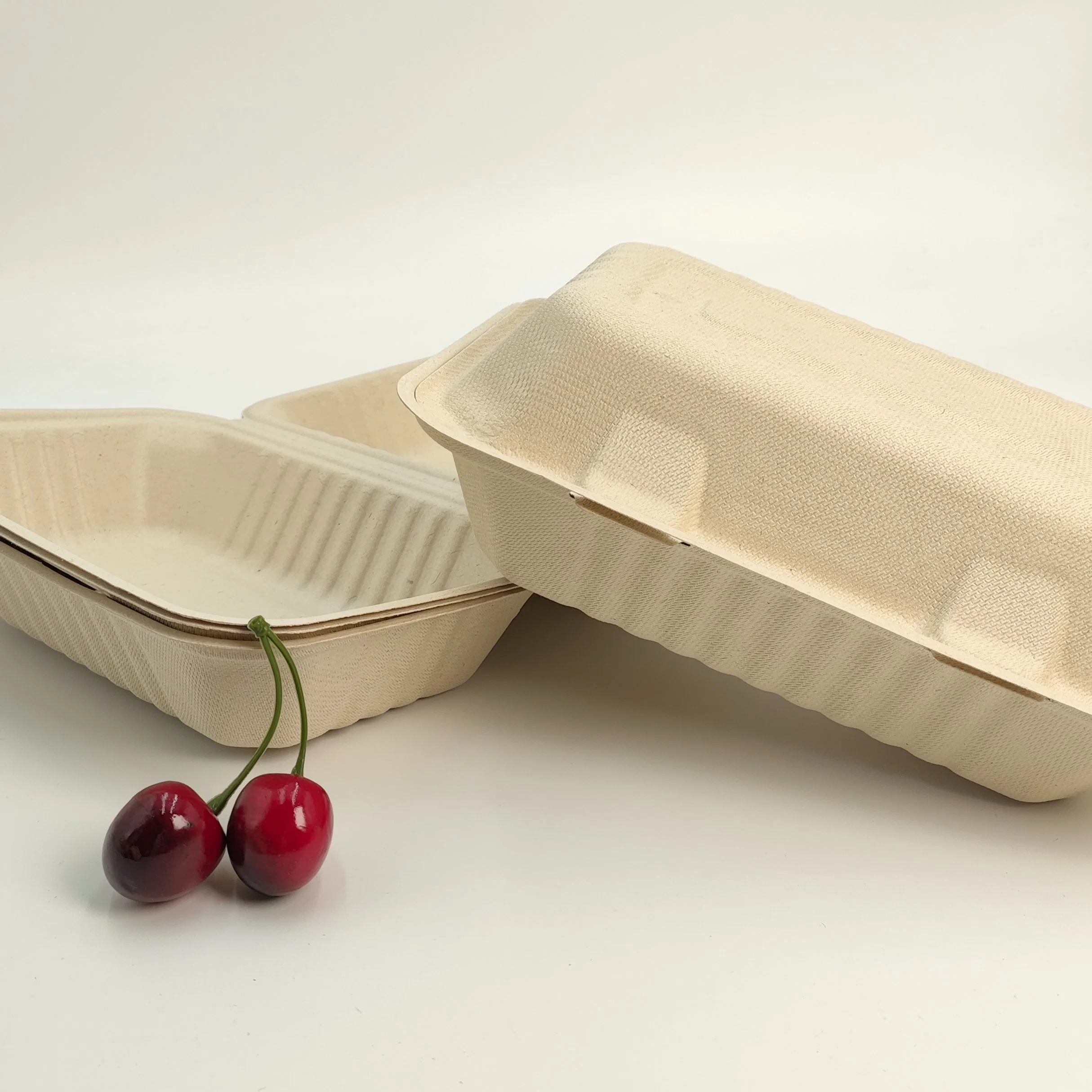 Sugar Cane Takeaway Food Packaging Disposable Bagasse Eco-Friendly Clamshell Lunch Box