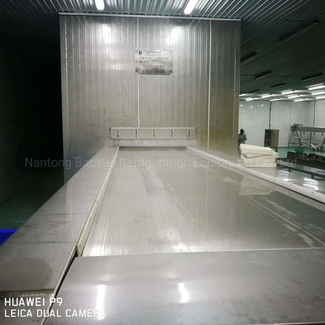 Commercial Large Output Impingement Tunnel Freezer for Shrimp