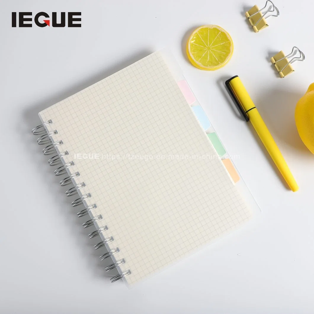 School Promotional Product Cheap Bulk Advertising PP Blank Spiral Notebook for Student