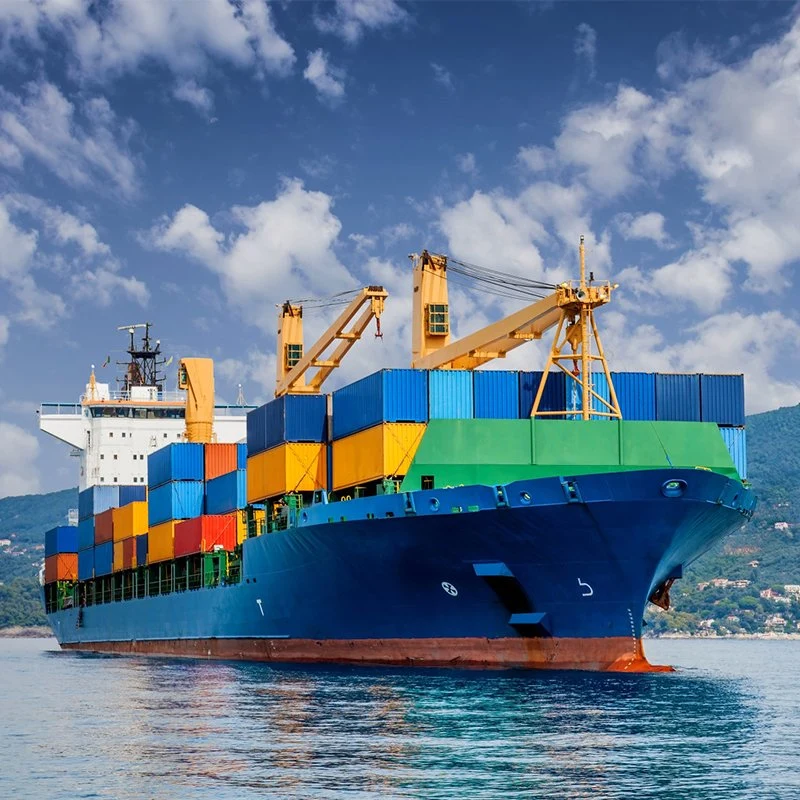 International Sea Logistics Company mit niedrigsten Versandkosten aus China Nach Mexiko