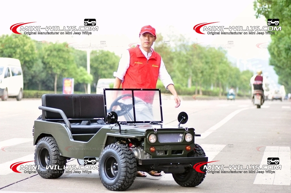 High Quality Hot Selling Go Kart Discount Kids Petrol Cars Mini Rover Mini Willys Cheap Price