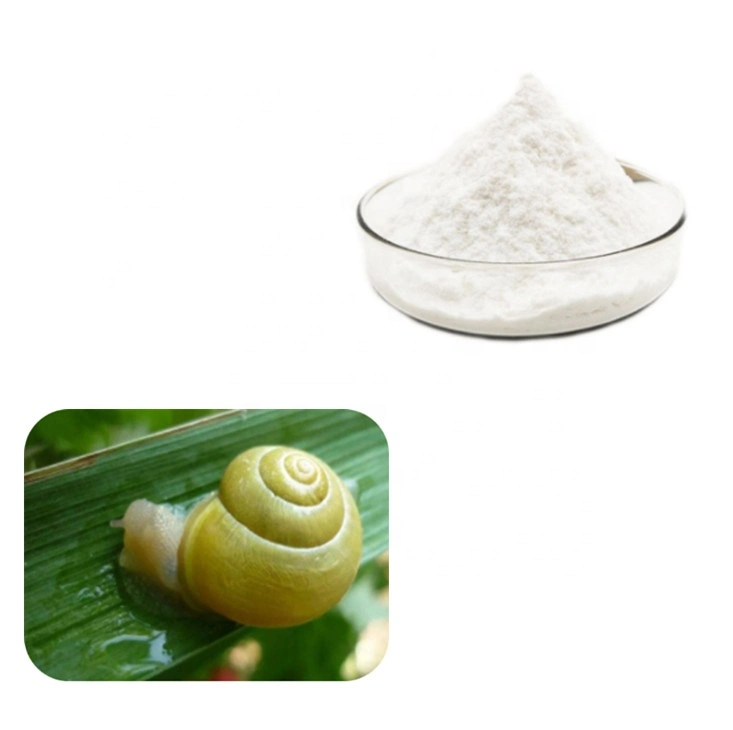 High quality/High cost performance  Snail Mucin Powder Snail Protein Powder