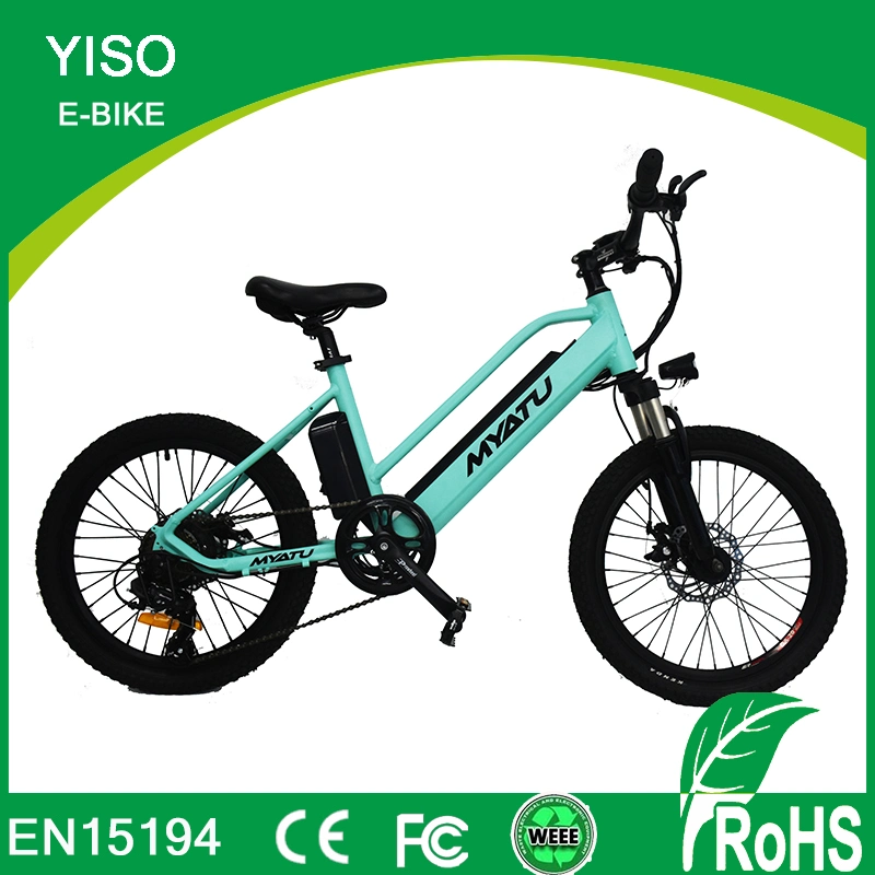 20 Inch Kids Pedelec Electric Motor Ebike with 36V/250W Rear Hub Drive