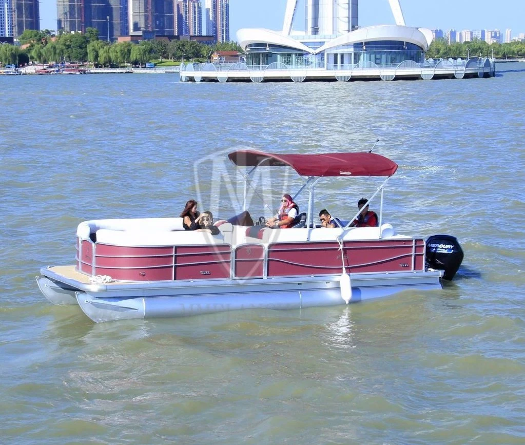 7.98m/26.18FT 12-Seater Privately Ordered Aluminium Aluminum Leisure Pontoon Boat for Family Party