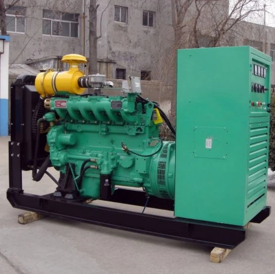 Gas Generator 110kVA/120kw Pig Manure Biogas Generator Pig Farm Generator Recycling Is Low Cost