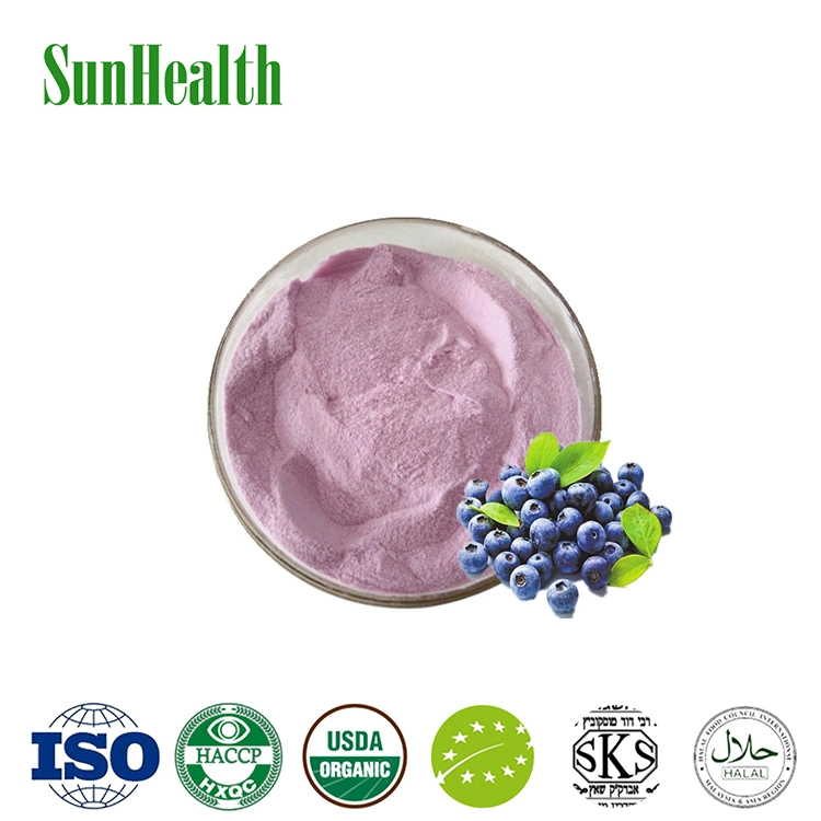 Blueberry Enzyme Powder Blueberry Extract Powder