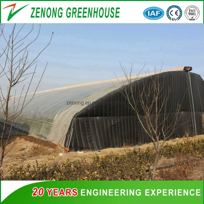 Chinese Po Film Greenhouse Solar Greenhouse with Cooling System for Growing Flowers/Tomato