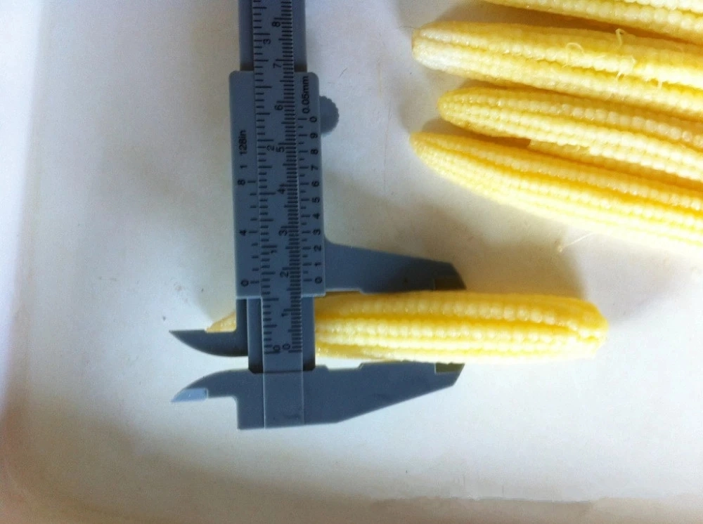 Premium Product and Great Price Canned Baby Corn in Brine 15oz. Wholesale/Supplier Price Supplier From China