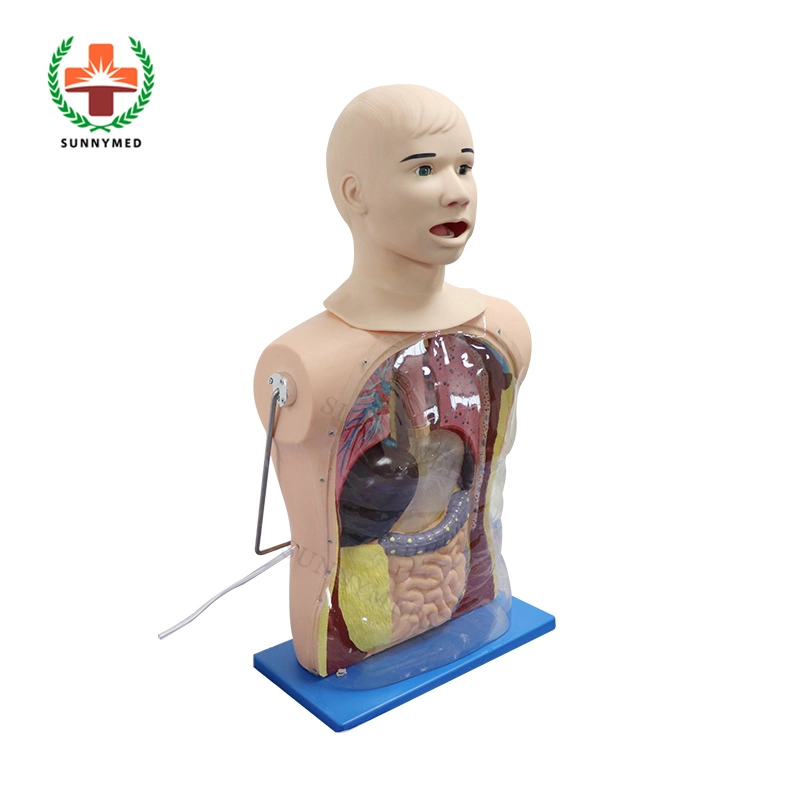 Sy-N03113 Nurse Training Nasogastric Feeding and Tracheal Care Simulator Manikin