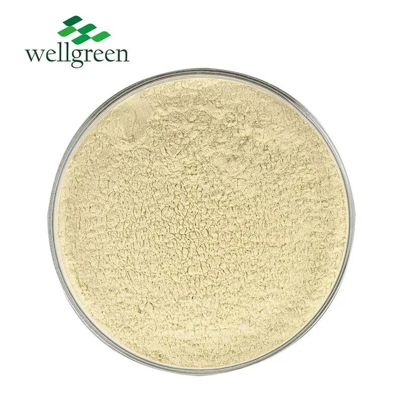 Intelligent Nutrition Supplement Raw Materials Soybean Oil Extract 70% Phosphatidylserine Powder