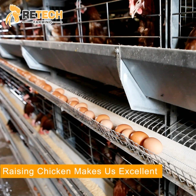 Best Chicken Raising Equipment Factory H Type of Layer Chicken Cages