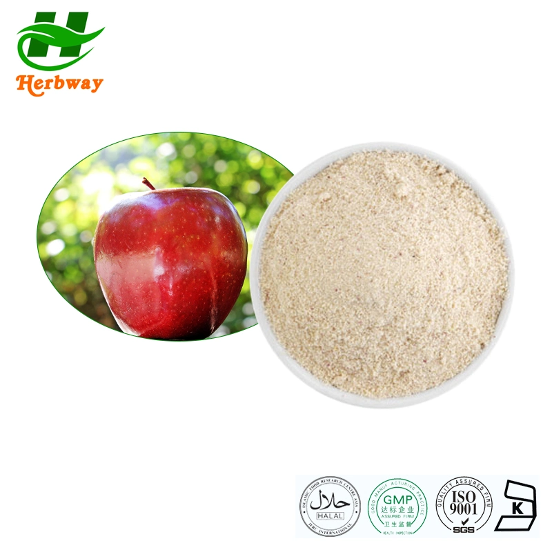 Herbway Cholesterol Reduction Botanical Extract Polyphenols Apple Peel Extract Malus Pumila Mill Extract Powder Apple Peel Extract Powder