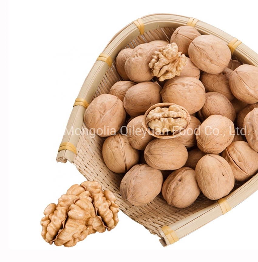 Chinese Walnut Price with Thin Paper Shell Big Size 30+/32+/34+