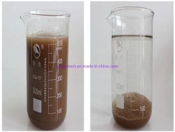 Cation Polyacrylamide Flocculant Swimmung Pool