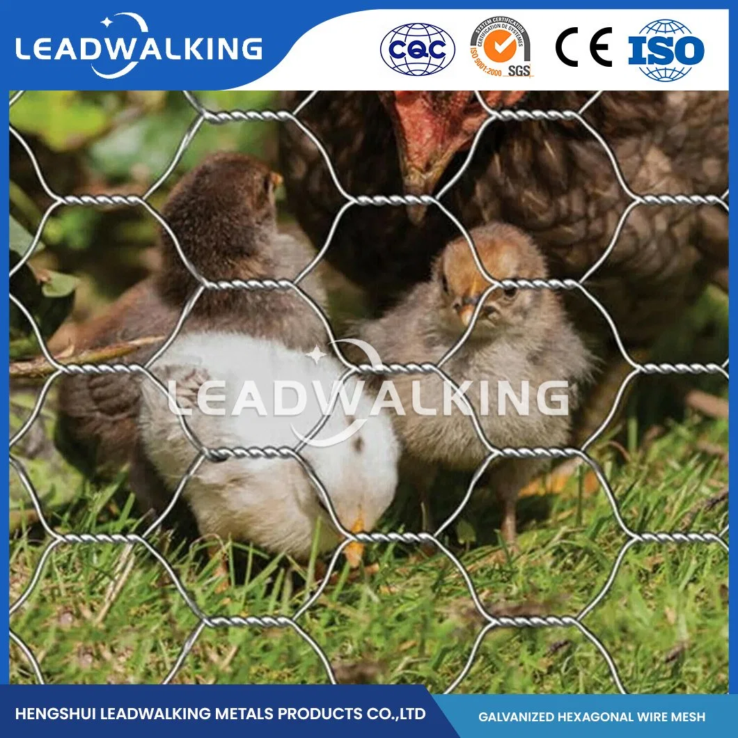 Leadwalking China Metal Gauze Mesh Manufacturers Mild Steel Wire Material 1-1/2 Inch Mesh PVC Coated Hexagonal Chicken Coop Wire Mesh Fencing