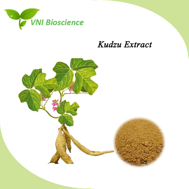 Kosher and Halal Certified Kudzu Root Extract