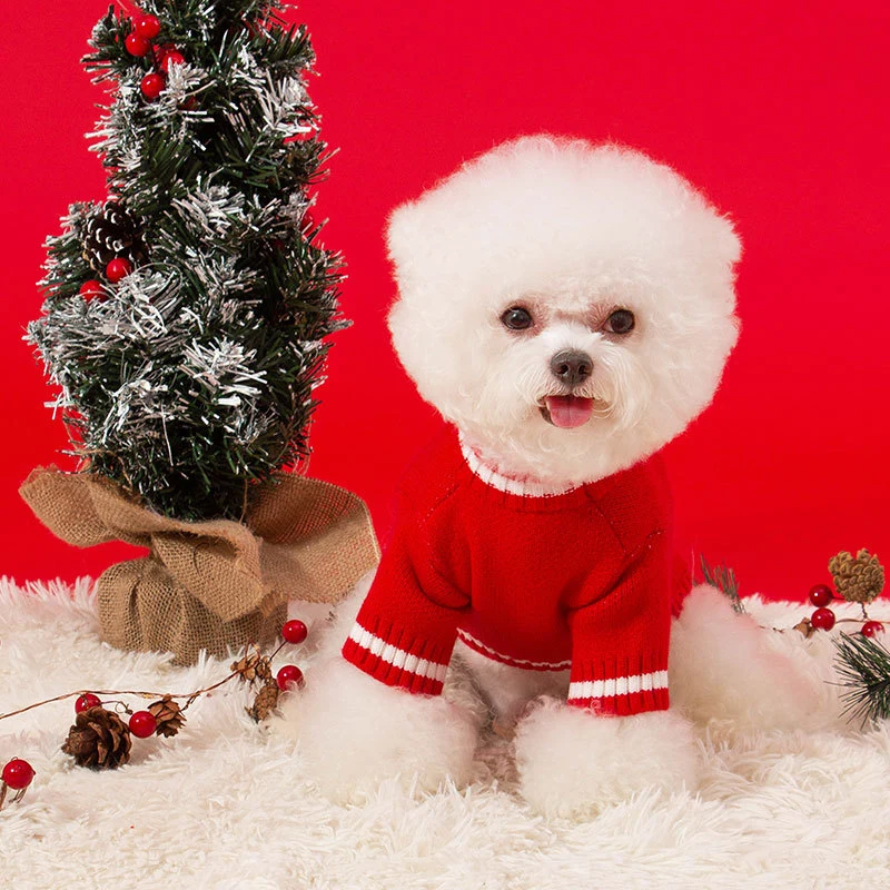 Free Sample Plush Waterproof Pet Cat Dog Winter Christmas Coat Clothes