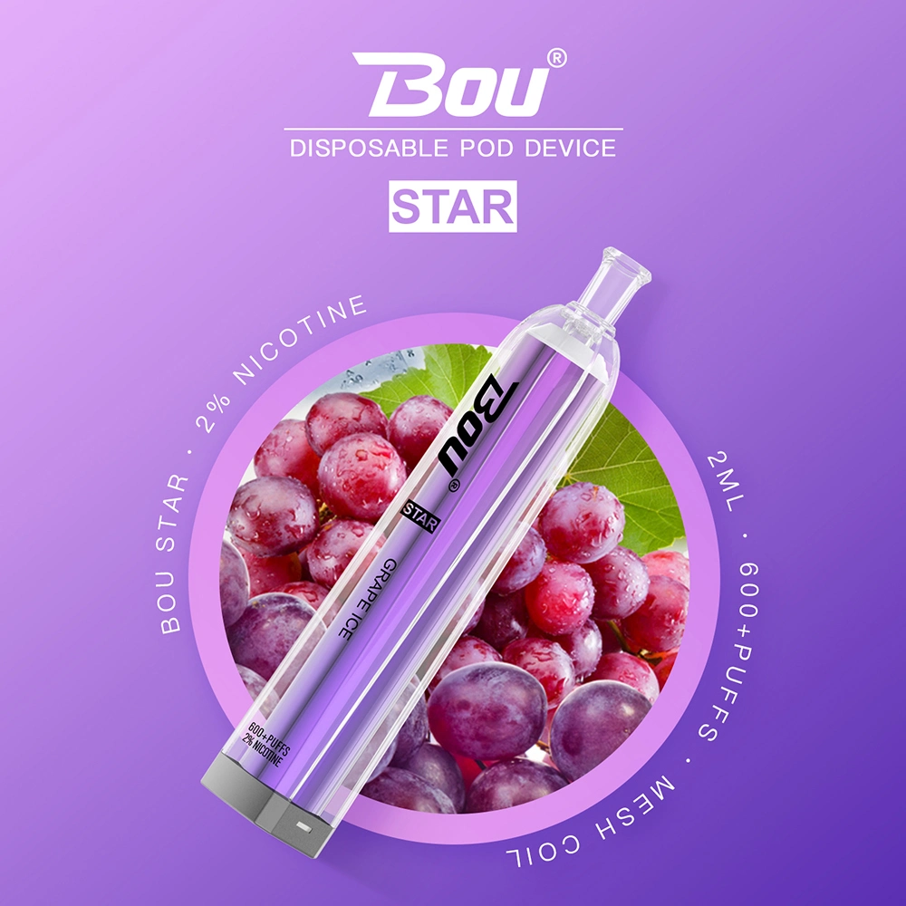 Bou 600 Puff Wape 500 mAh E Cigarette Disposable Crystal Vapes Hot Selling in France Germany Poland