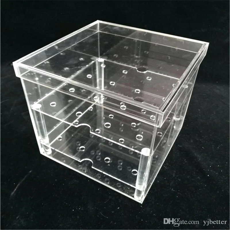 Acrylic Wall Mounted Watch Display Case