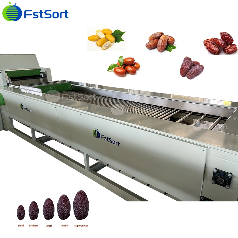 Fstsort Fruit Washing Drying Sorting Machine Fruit Processing Equipment Dates Grading Machine Dates Processing Machinery Dates Sorting Machine