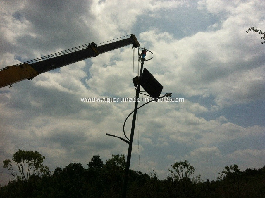 400W24V Vertical Wind & Solar Panel System for Street Light