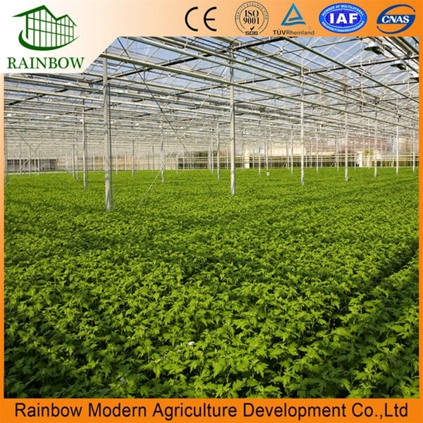 Rainbow Factory Direct Sale PC Board Greenhouse