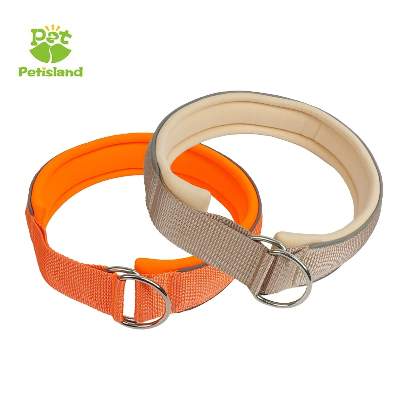 Petisland No Choke Pet Products Wholesale Pet Collar Factory Price Custom Dog Training Collar Nylon Dog Collar with Neoprene Padded Lining